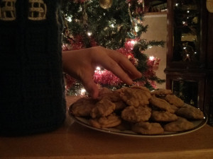 IMG_20141219_212902small